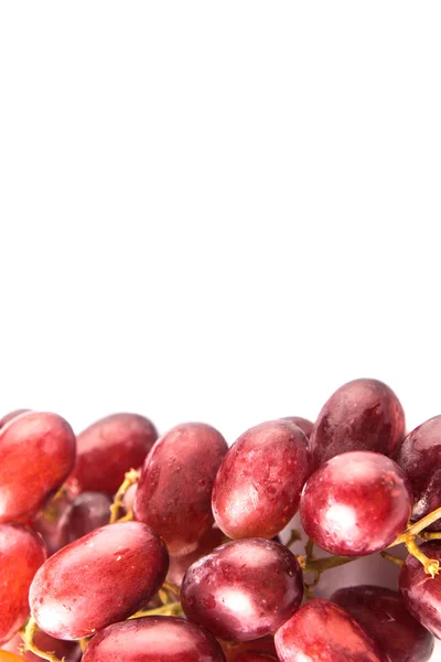 Red Grapes Fruits White Background — Stock Photo, Image