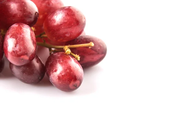 Rote Traubenfrucht — Stockfoto