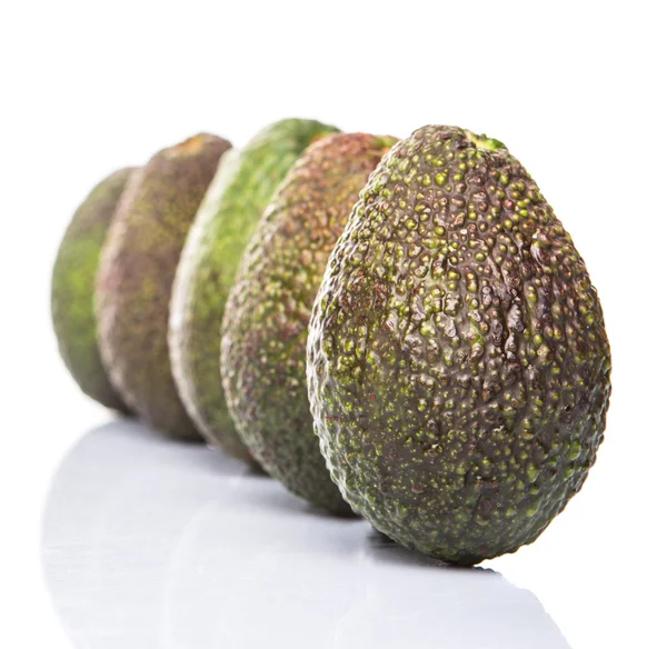 Avocado Fruit — Stock Photo, Image