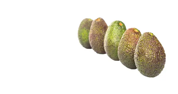 Avocadofrucht Auf Weißem Hintergrund — Stockfoto
