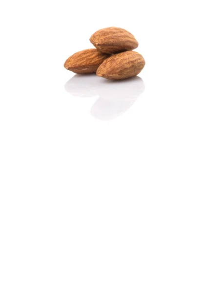 Almond Nut — Stock Photo, Image