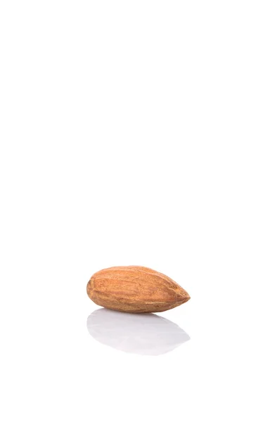 Almond Nut — Stock Photo, Image