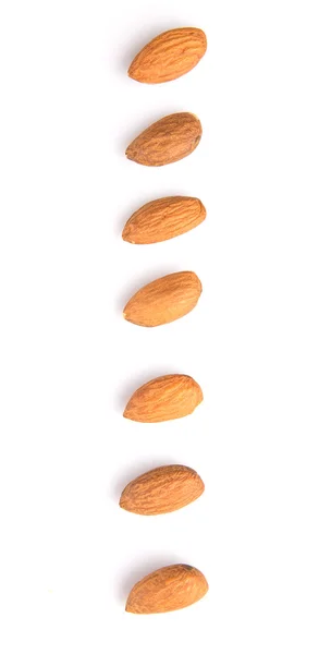 Almond Nut — Stock Photo, Image