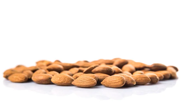 Raw Almond Nut White Background — Stock Photo, Image