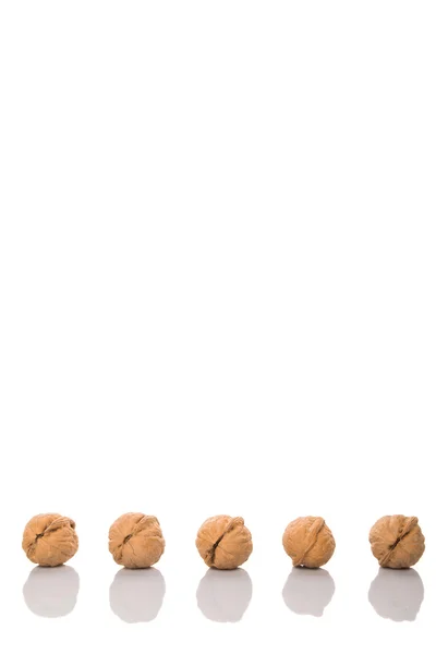 Kacang Kenari Atas Latar Belakang Putih — Stok Foto