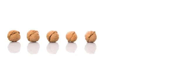 白い背景の上のくるみナッツ — ストック写真