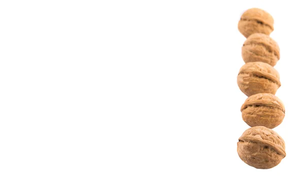 白い背景の上のくるみナッツ — ストック写真