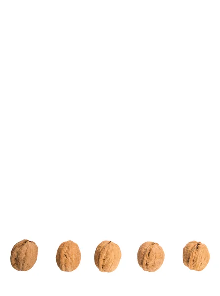 Walnut Nuts White Background — Stock Photo, Image