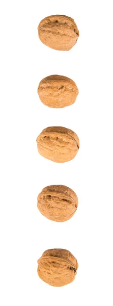 Walnut Nuts White Background — Stock Photo, Image