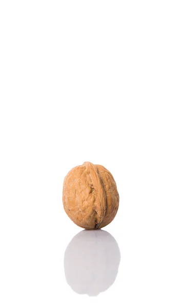 Walnut Nuts White Background — Stock Photo, Image