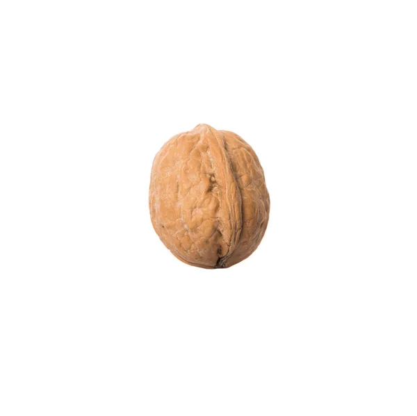 Ореховый орех — стоковое фото