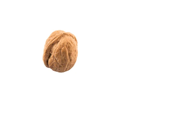 Walnut Noten Witte Achtergrond — Stockfoto