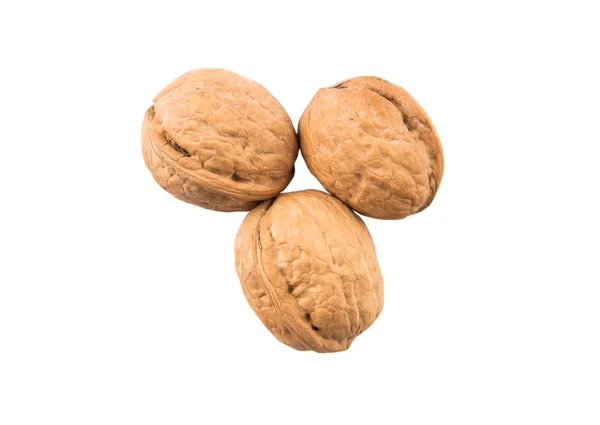Ореховые Орехи Белом Фоне — стоковое фото