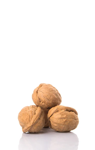 Walnut Nut — Stock Photo, Image