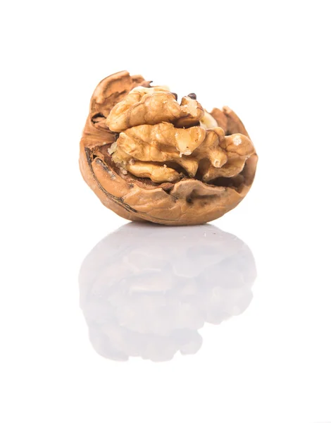 Walnut Nuts White Background — Stock Photo, Image