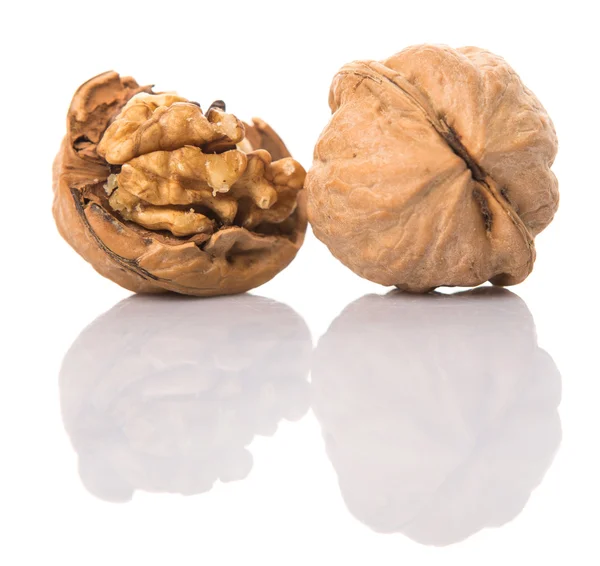 Walnut Nut — Stock Photo, Image