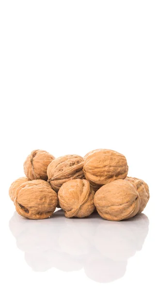 Walnut Noten Witte Achtergrond — Stockfoto