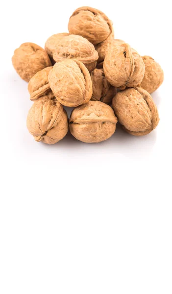 Walnut Nuts White Background — Stock Photo, Image