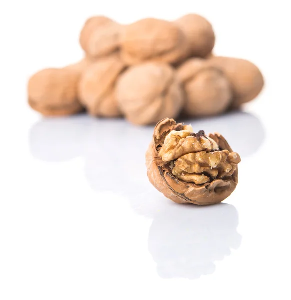 Walnut Nut — Stock Photo, Image