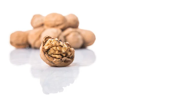 Walnut Nut — Stock Photo, Image