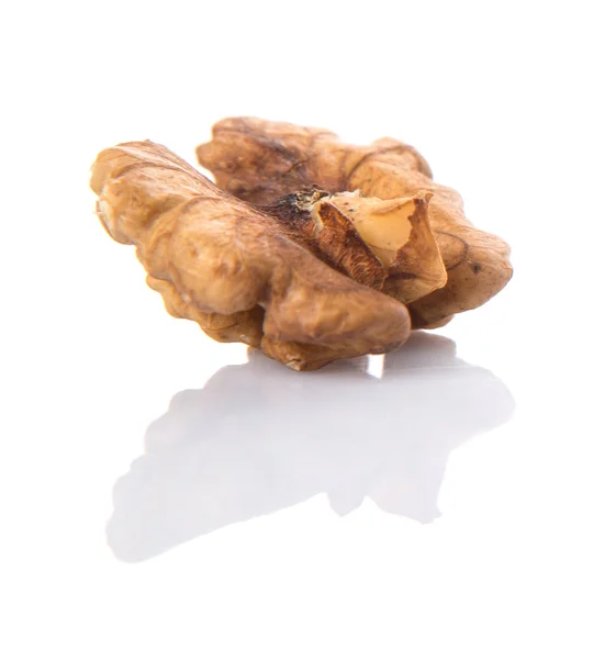 Walnut Nut — Stock Photo, Image