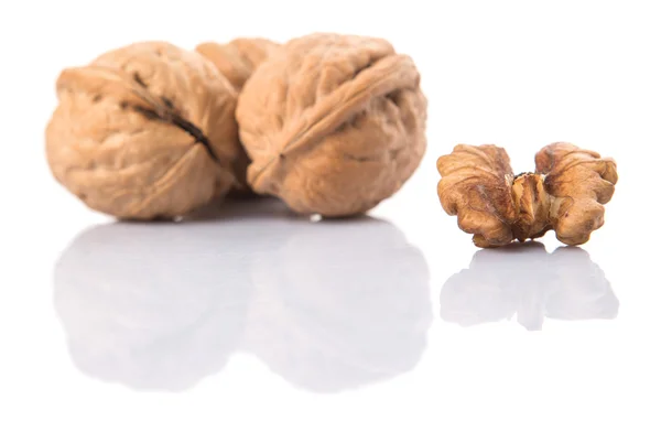 Walnut Nut — Stock Photo, Image