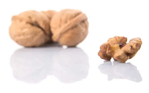 Walnut Nuts White Background — Stock Photo, Image