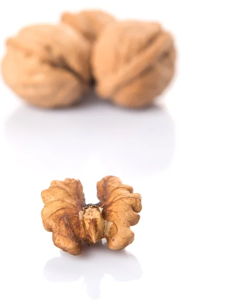 Walnut Nut — Stock Photo, Image