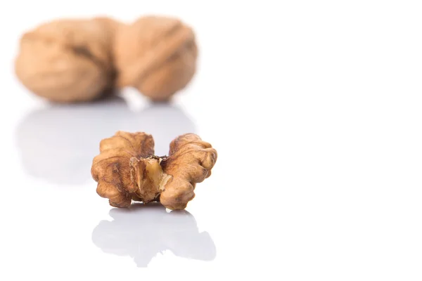 Walnut Nut — Stock Photo, Image