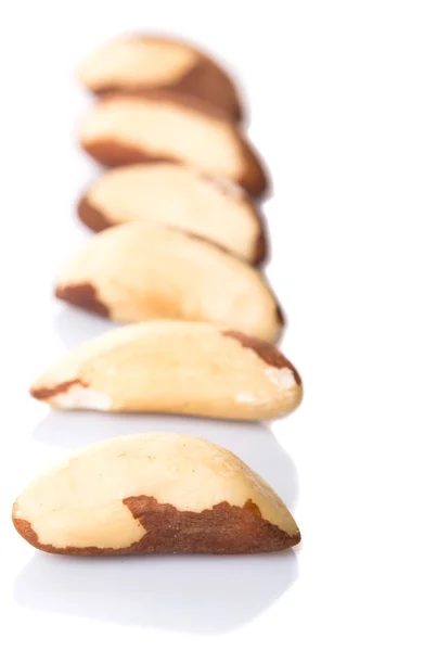 Brazil Nuts White Background — Stock Photo, Image