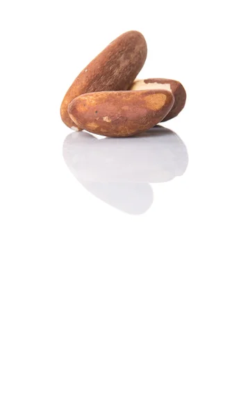 Brazil Nuts White Background — Stock Photo, Image