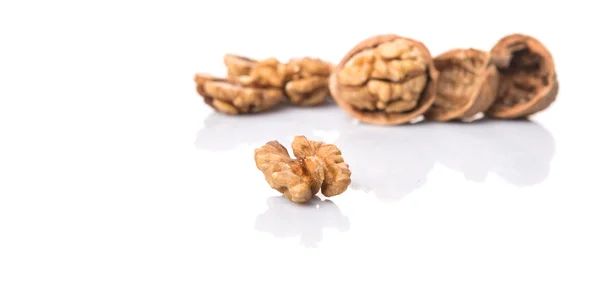 Walnut Nuts — Stock Photo, Image