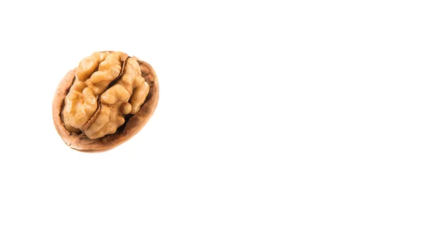 Walnut Nuts — Stock Photo, Image