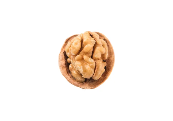 Walnut Nuts — Stock Photo, Image