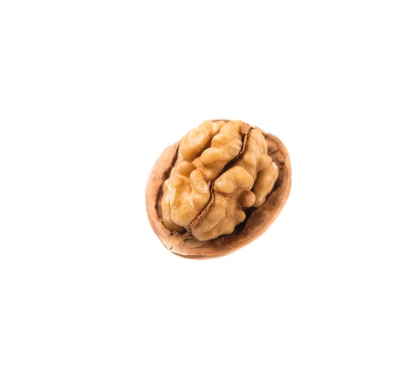 Walnut Noten Witte Achtergrond — Stockfoto