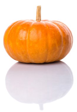 Beyaz arka plan üzerinde kabak kabak