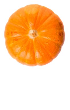 Beyaz arka plan üzerinde kabak kabak