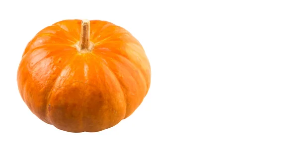 Pumpkin Vegetable — Stock Photo, Image