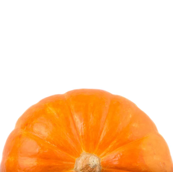 Zucca Zucca Sfondo Bianco — Foto Stock