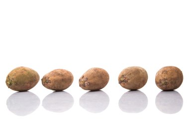 Sapodilla veya Ciku meyve