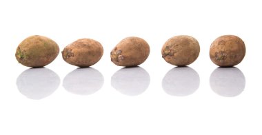 Sapodilla veya Ciku meyve beyaz arka plan üzerinde