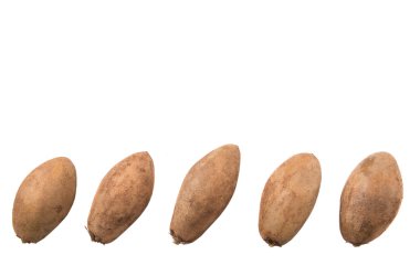 Sapodilla veya Ciku meyve beyaz arka plan üzerinde