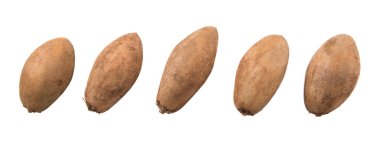 Sapodilla veya Ciku meyve