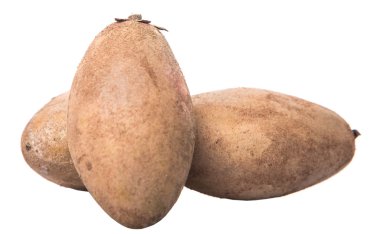 Sapodilla veya Ciku meyve