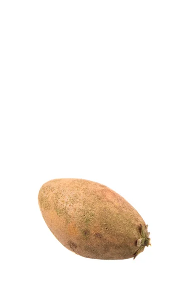 Sapodilla Ciku Fruta Sobre Fundo Branco — Fotografia de Stock