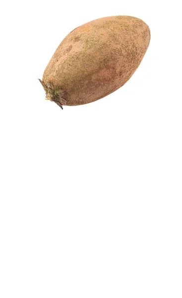 Sapodilla Oder Ciku Frucht Auf Weißem Hintergrund — Stockfoto