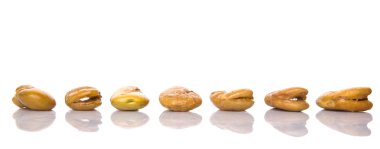 Tuzlu bakla veya Vicia Faba