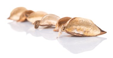 Potpuri malzeme kurutulmuş doğal bitkiler