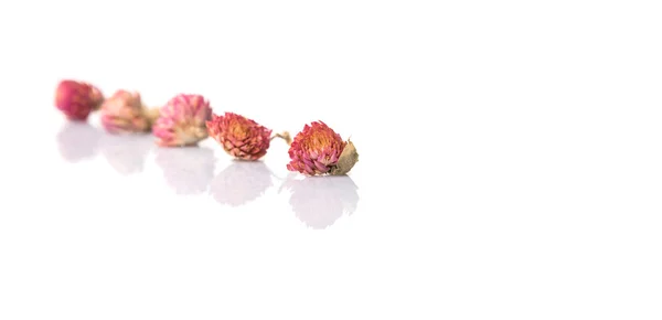 Beyaz Arka Plan Üzerinde Kurutulmuş Doğal Bitkilerin Potpuri Malzemeleri — Stok fotoğraf