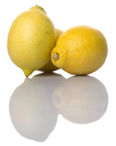 Citron Sur Fond Blanc — Photo